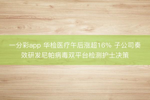 一分彩app 华检医疗午后涨超16% 子公司奏效研发尼帕病毒双平台检测护士决策