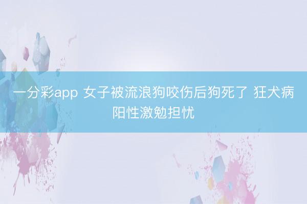 一分彩app 女子被流浪狗咬伤后狗死了 狂犬病阳性激勉担忧