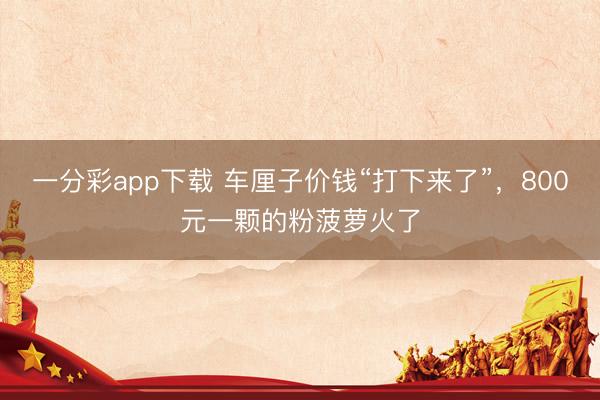 一分彩app下载 车厘子价钱“打下来了”，800元一颗的粉菠萝火了